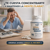 Nuevo Vital Brain – Claridad Mental y Enfoque Total