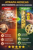 Nuevo Tira Pegajosa Atrapa Insectos