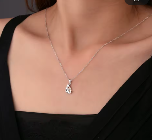 Nuevo Collar amor de mascota