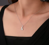Nuevo Collar amor de mascota