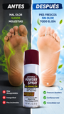 Nueva Frescura Activa Diaria para Calzado de 50ml