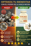 Nueva Maca Negra Energía y Rendimiento Natural
