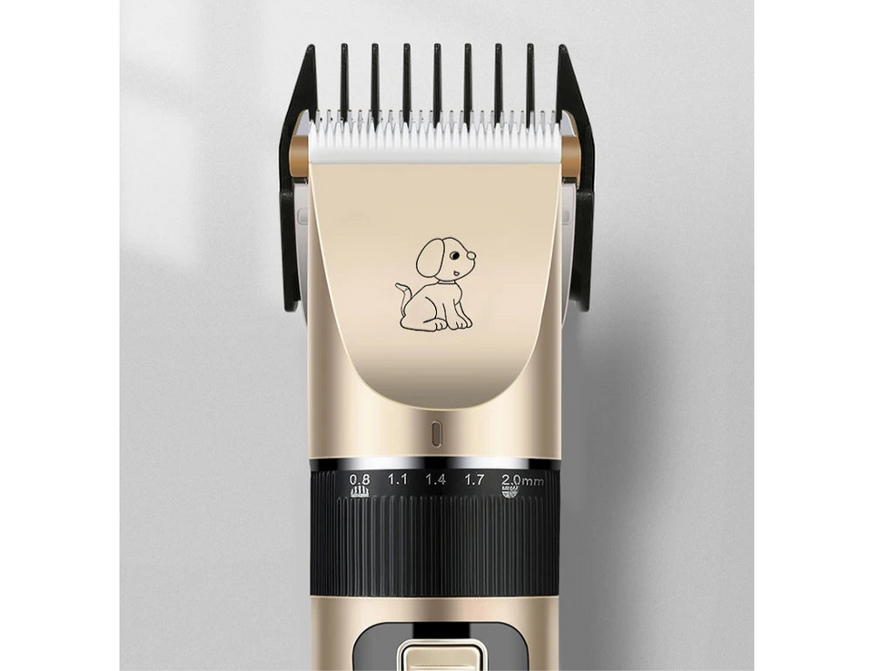 Nuevo Equipo de peluqueria para Mascotas