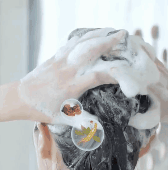 Revive Black Shine Wash