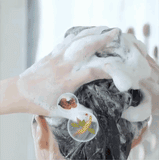 Revive Black Shine Wash