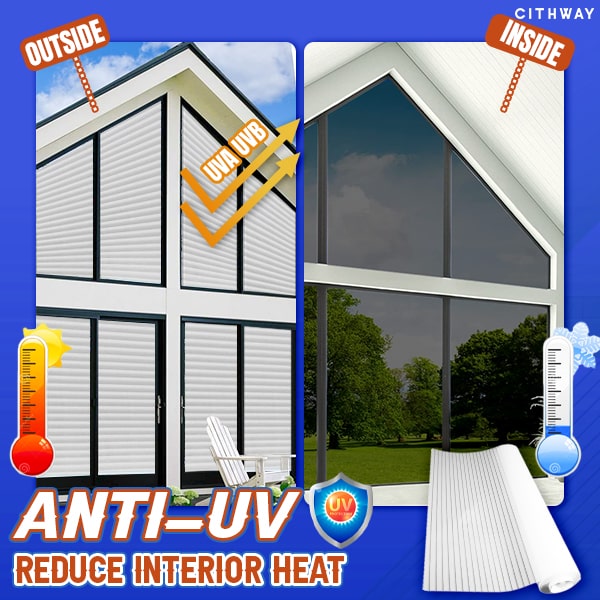 Nueva Protección Ventanas Mirasol