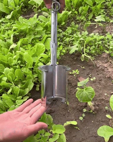 Nueva Herramienta VerdeMaster para Jardinería