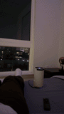 Nuevo Spotlight Proyector Mini