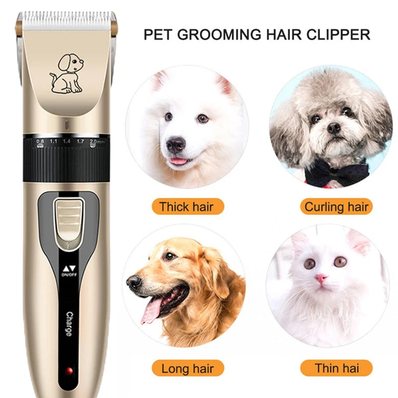 Nuevo Equipo de peluqueria para Mascotas