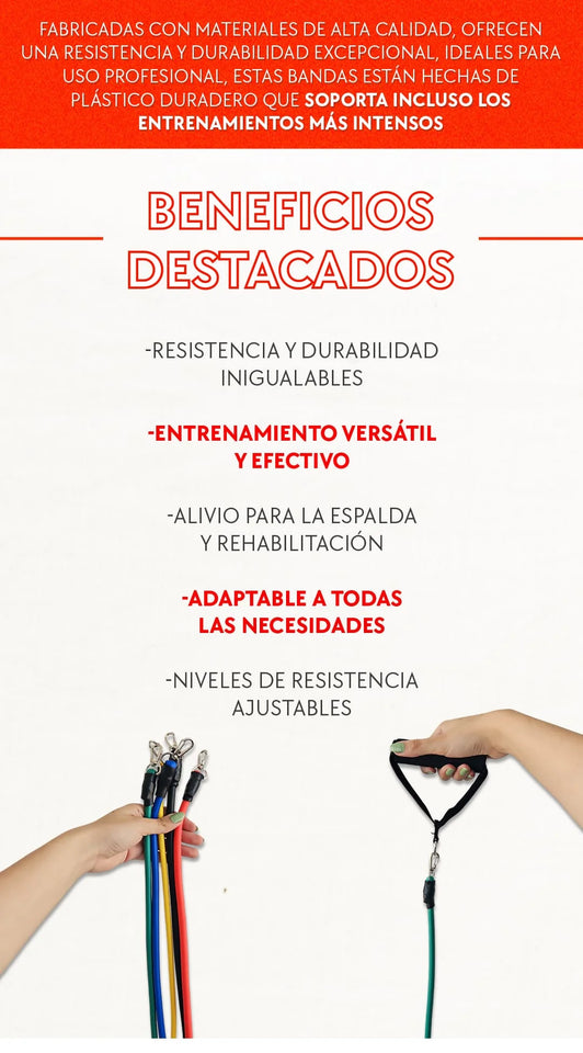 Kit de Bandas Elásticas (11 Piezas)